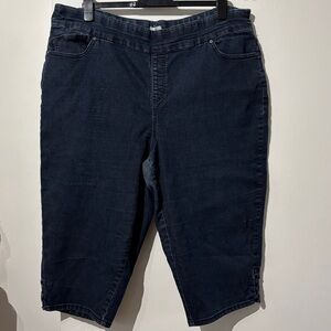 🎉4/30$🎉 Midnight Blue Denim Shorts